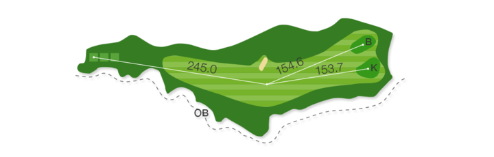 Large