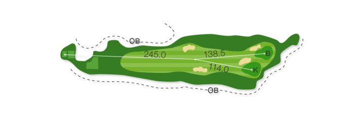 Large
