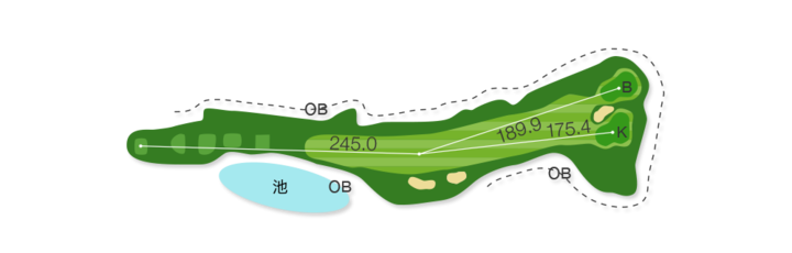 Large