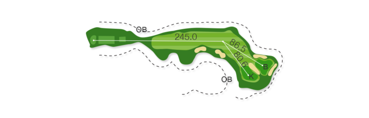 Large
