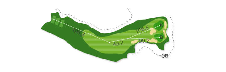 Large