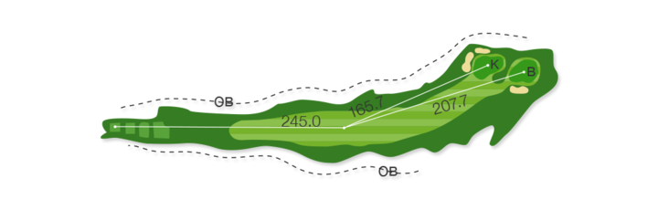 Large