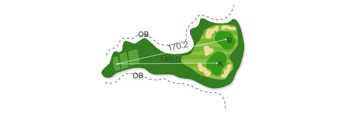 Large